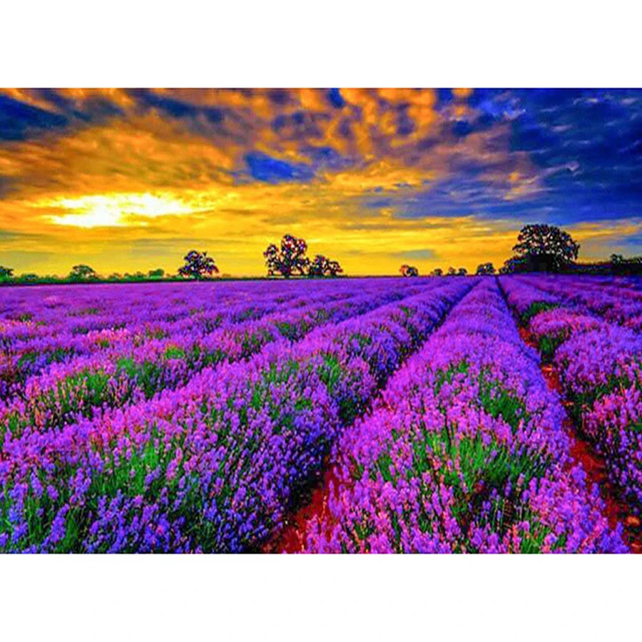 5D DIY алмазная живопись лавандовое поле Пейзаж Вышивка крестом полностью
