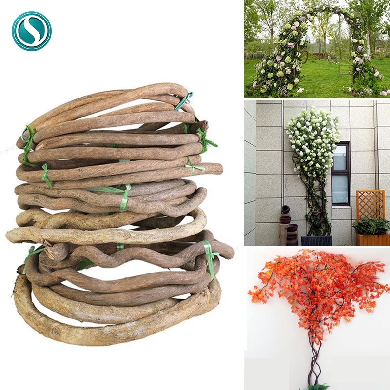 

DIY Decor Dried Tree Rattan Material Natural Twigs Dry Plant Vine Branches Balcony Garden Decoration Wedding Wall Accessories