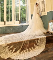 champagne wedding veil 4 meters long bridal veils pearl applique one layer bride wedding in stock 2020