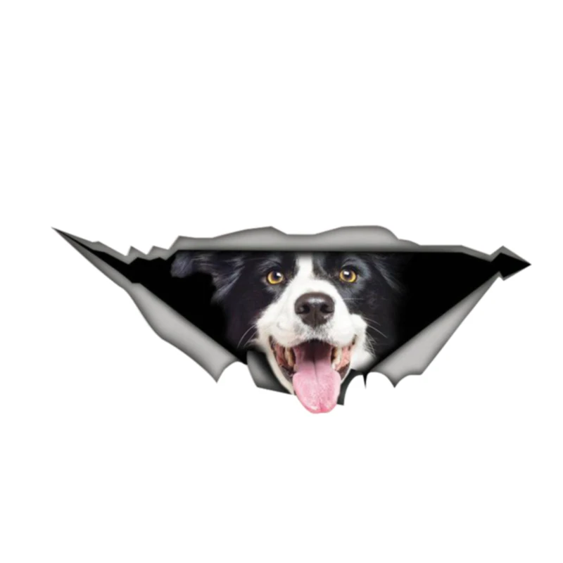 

Creative Car Sticke Border Collie Car Window Decal Accessories Waterproof High Quality Vinyl Cover Scratches PVC 13cm X 5cm