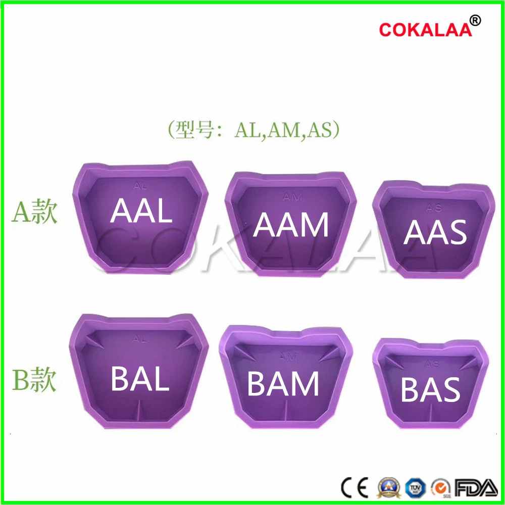 

6 type 3 Sizes Dental rubber Model Base Set Dental Mold Plaster Base Denture Tray Dental Lab Former Base Kit Dental materials