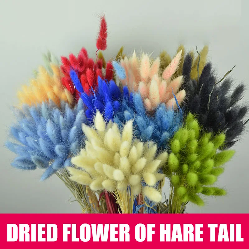 50 штук высушенных цветов и растений украшение для дома Натуральные