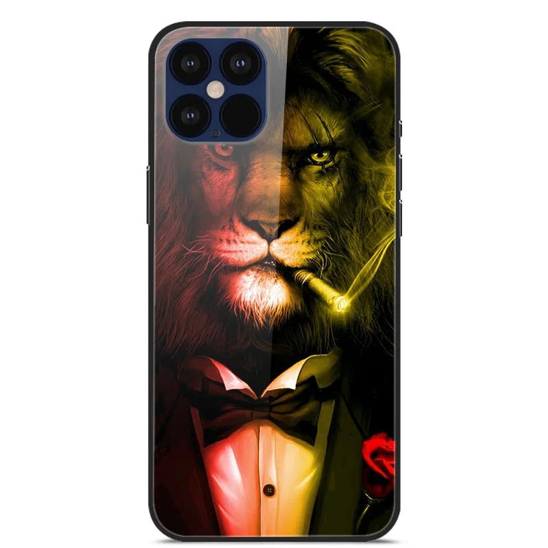 

For Apple iPhone 12 Pro Max Phone Case Tempered Glass Back Cover With Black Silicone Bumper Series 1