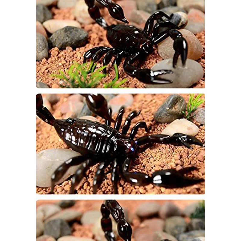 

Remote Control Scorpion, Infrared Radio Control Kids Toy RC Scorpion Realistic Simulation Joke Scary Trick Toys Kids Gift