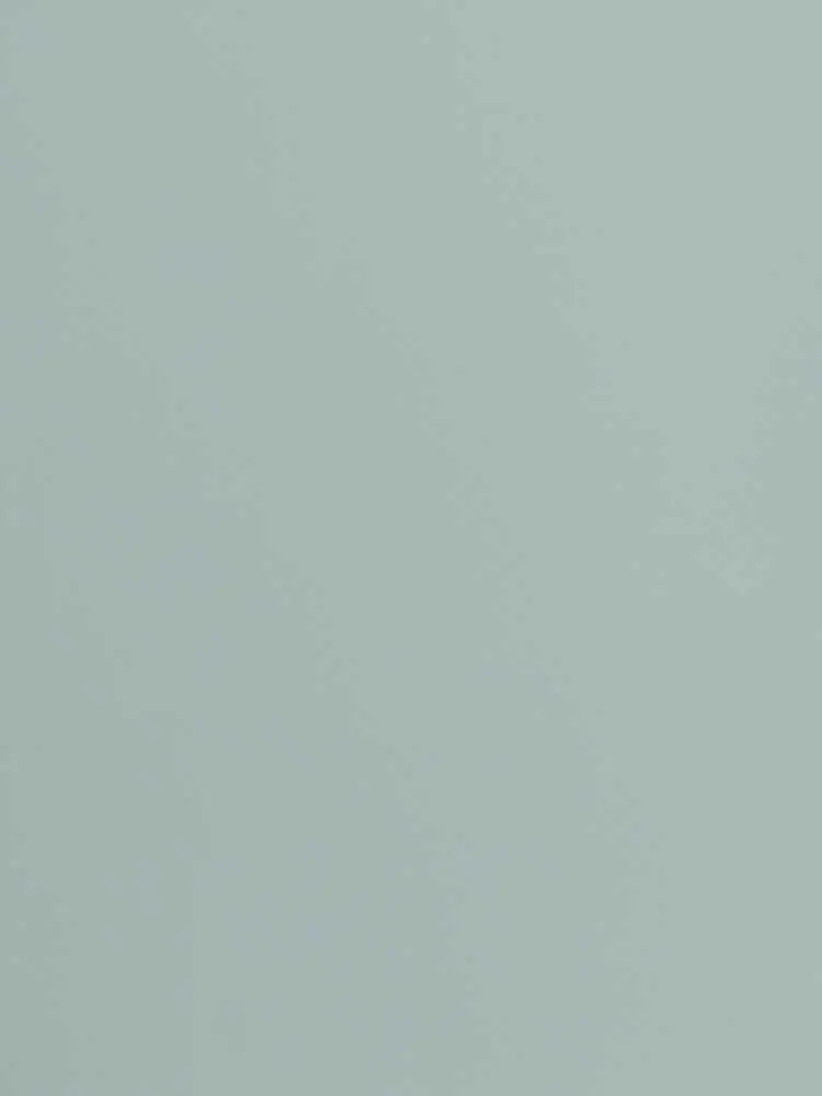 Душевая кабина 2 фиксированная с раздвижными дверцами на высоте 195 см матовое