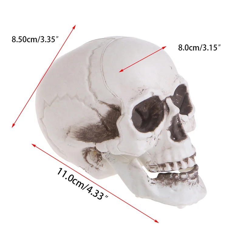 

Plastic Human Mini Skull Decor Prop Skeleton Head Halloween Coffee Bars Ornament