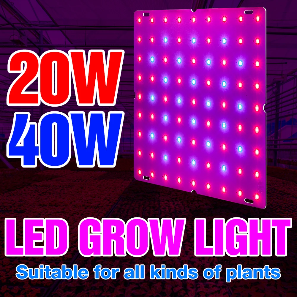 

220V Phyto Lamp LED Plants Indoor Light Full Spectrum LED Grow Lampada 20W 40W Flowers Seed Fitolampe Growing Tent EU US UK Plug