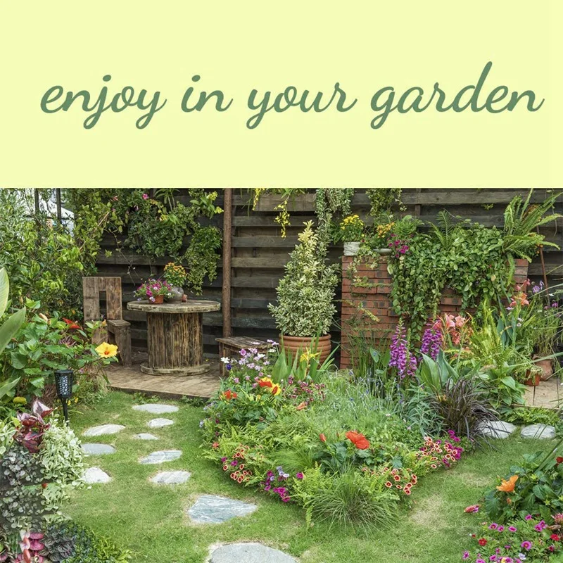 

3Pcs DIY Plant Supports for Garden,Trellis for Potted Plants Flower Support for Climbing Plants Easy to Use 20X53cm