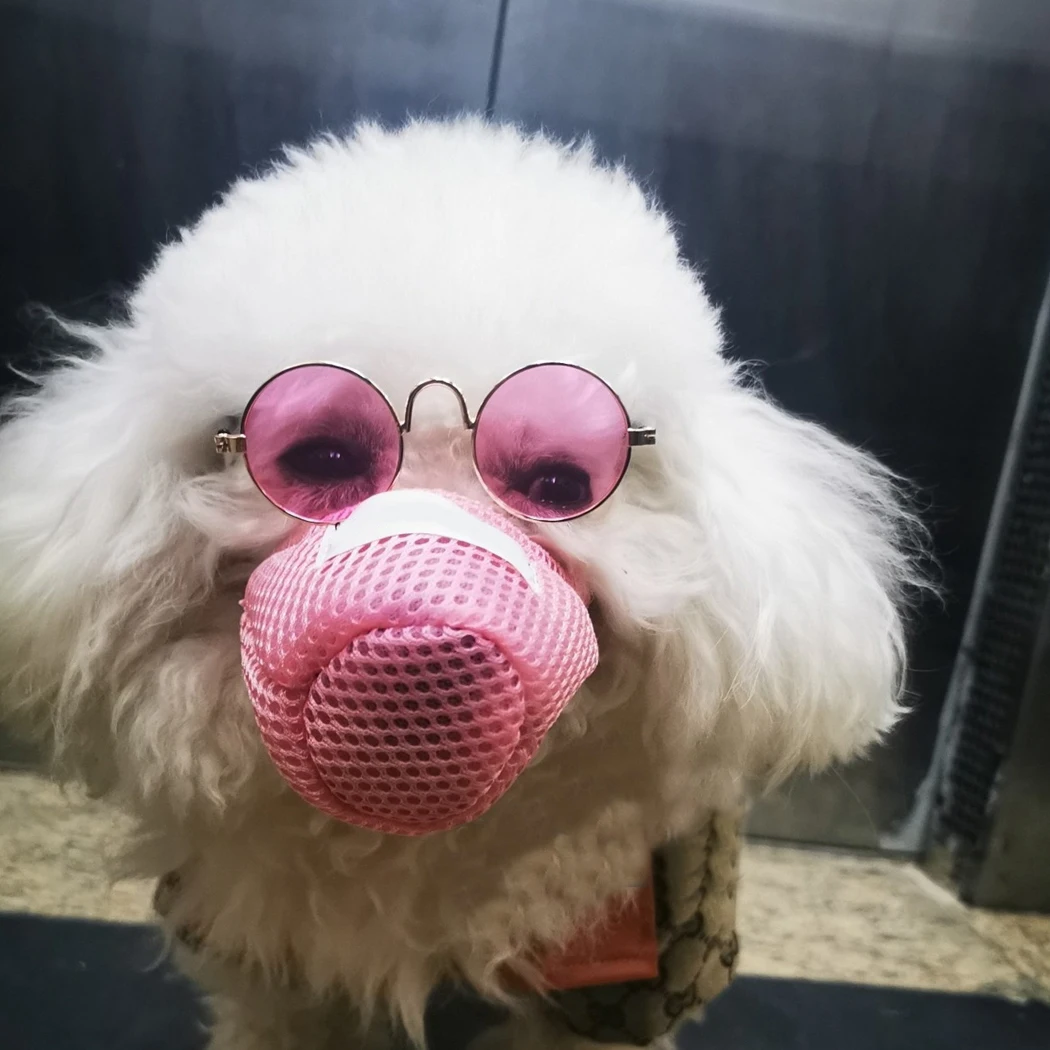 

Pet Dog Mouth Cover Dog Muzzle Adjustable Anti Dust Dog Mouth Cover Dog Mouth Guard Pet Supplies Size S M L