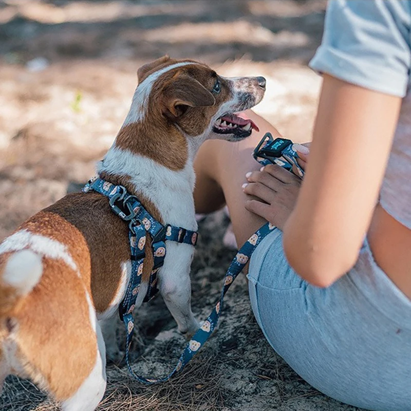 Новинка 2020 подвеска для собак сигарета суши с принтом легкая работа четыре
