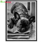 Алмазная 5D картина сделай сам, мозаика с французским бульдогом, вышивка крестиком, полноразмерная круглая Алмазная картина, домашний декор J20