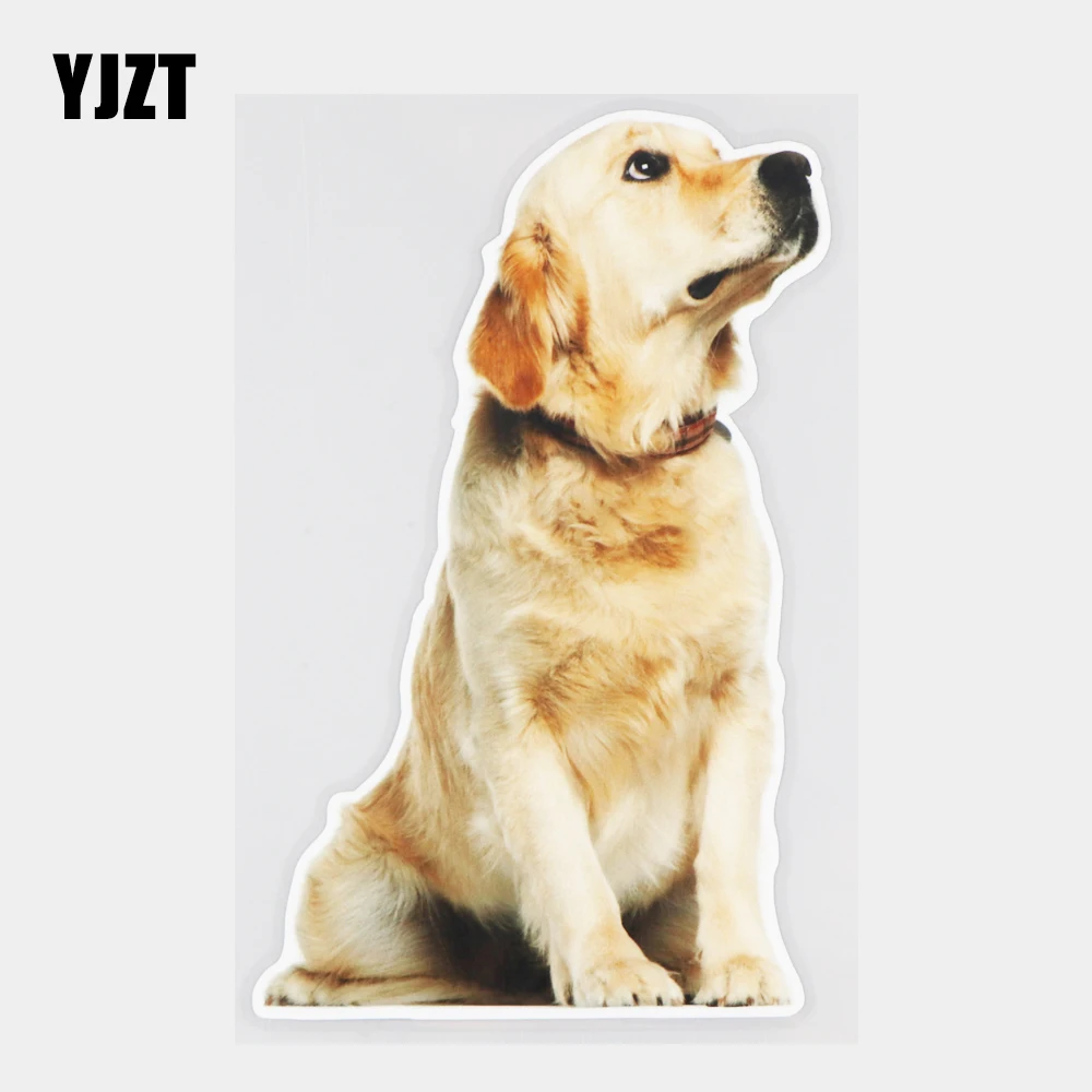 

YJZT 12×18.8CM Cute Golden Retriever Animal Decals Fashion Body Decoration Scratch Cover Car Stickers 21A-1294