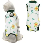 Фруктовым узором, одежда для домашних питомцев; Кошки комбинезон для собак, пижама для девочек, нарядное платье с рисунком собачки и котика хирургический халат анти-чулки прикорм прорезывание зубов комбинезоны с изображением собаки для мальчиков, одежда для сна