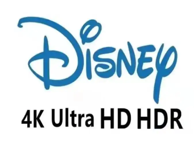 

{L4K пустышка, Disney Plus Konto подписка + Швейные шифоны + 1 подписка✅1 jahre Garantie Premium Disney}