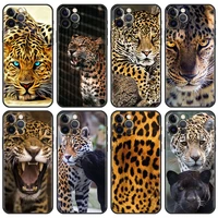 soft case for iphone 13 6 1 inches 12 mini 11 pro 7 xr x xs max 6 6s 8 plus 5 5s se tpu phone cover sac cheetah panther