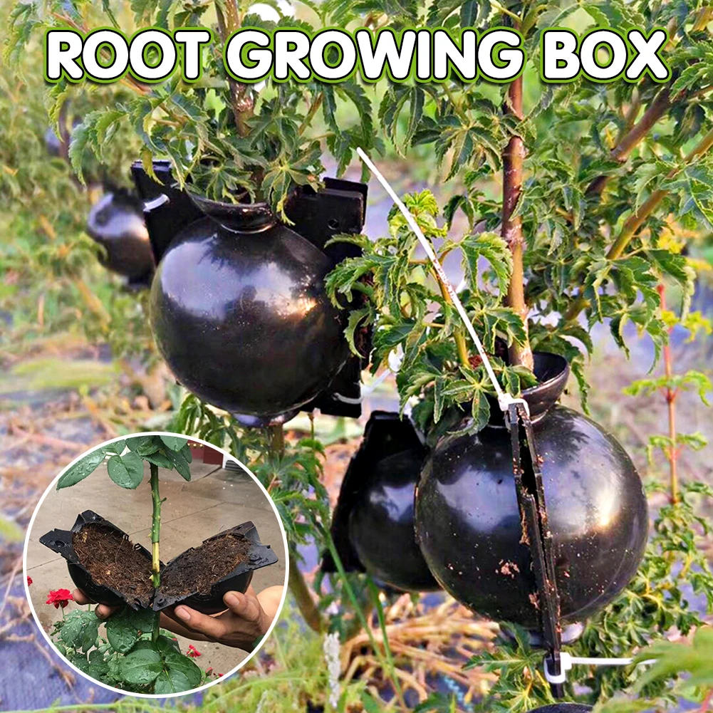 

5Pcs Root 5/8cm Pressure Propagator Root Grafting Box Garden Rooting For Garden In Diameter Growing Box Breeding Case Plant