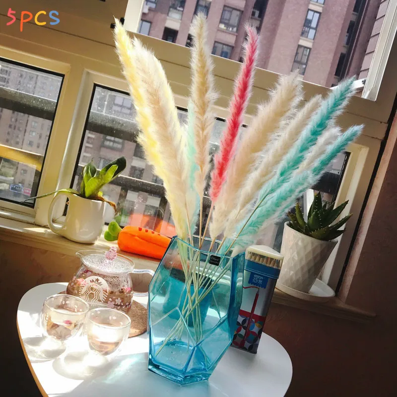 

5Pcs Natural Pampas For Wedding Party DIY Craft Scrapbook Bouquet