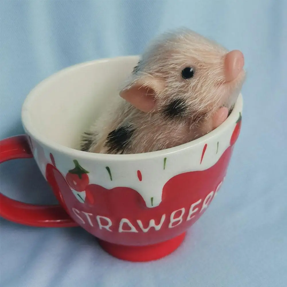 

5 ''Кукла полностью закрытый силиконовый поросенок милый реалистичный поросенок 2022 новые подарки для малышей