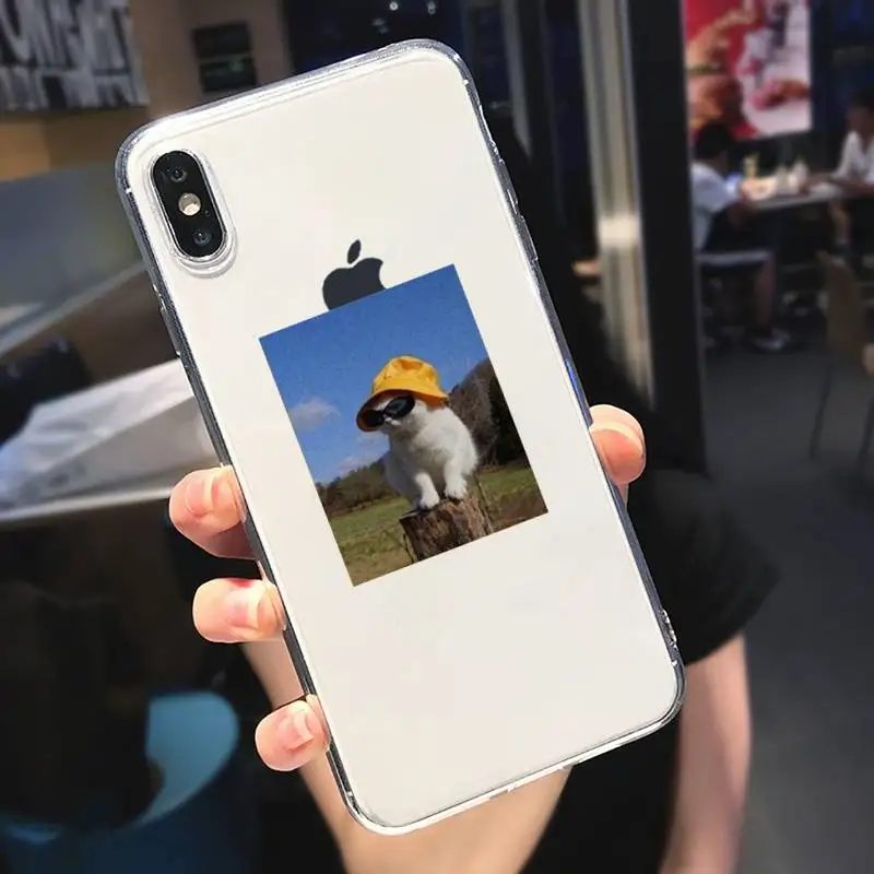 

cat cute animal aesthetics Phone Case Transparent soft For iphone 5 5s 5c se 6 6s 7 8 11 12 plus mini x xs xr pro max