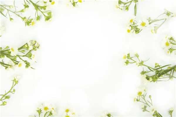 Виниловый фон для фотосъемки на День святого Валентина | Электроника