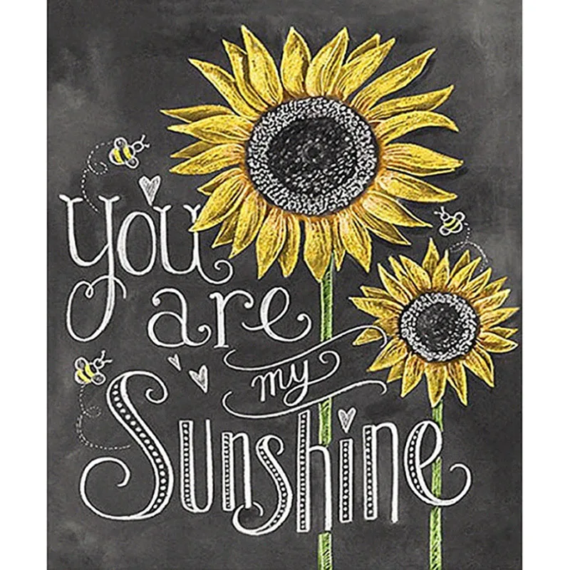 SNA Алмазная картина полная дрель квадратная/круглая Daimond &quotChalkboard Рисование