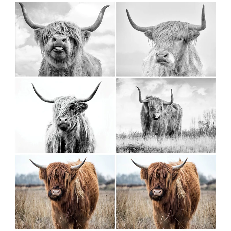 Краска с алмазной краской ing Animal Highland Cow 5D DIY Алмазная вышивка распродажа мозаика
