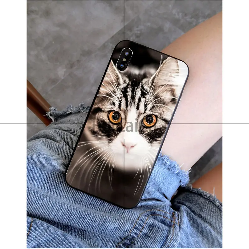 Ruicaica Черный кот часы Глаза Мягкий чехол для телефона из ТПУ iPhone X XS MAX 6 6S 7 7plus 8 8Plus 5