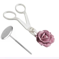 ttlife 2pcs piping flower scissors nail safety rose decor lifter fondant cake decorating tray cream transfer baking pastry tools