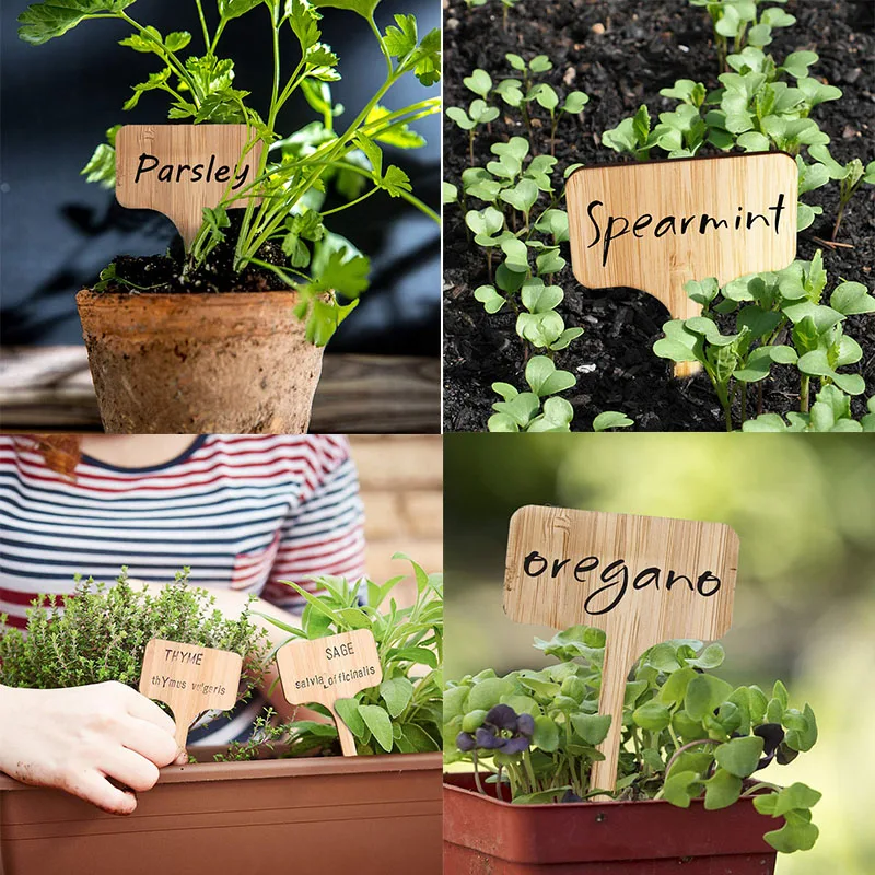 

50Pcs Bamboo Plant Label High Quality Eco Friendly T-shaped Wood Plant Sign Seed Potted Herbal Flower Vegetable Garden Marker