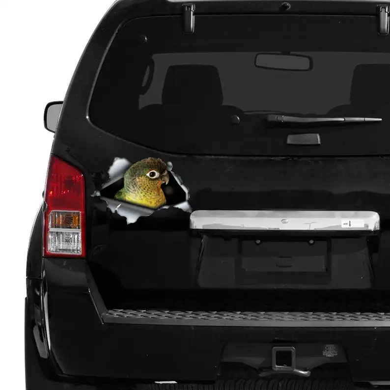 

2021 yellow sided green cheek conure , green cheek conure magnet, car decoration, car sticker