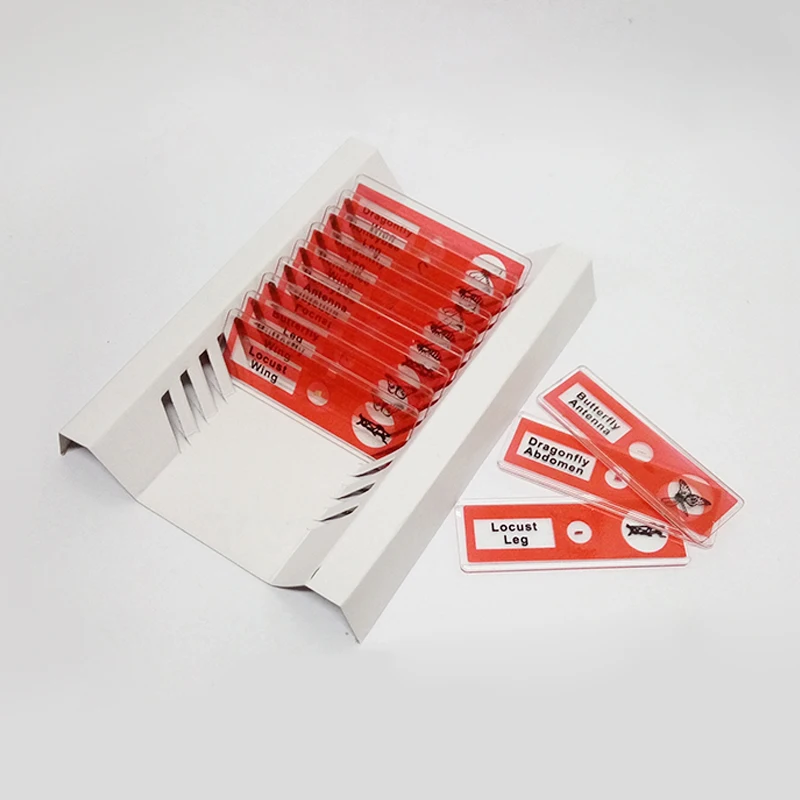 48 шт./4 коробки органические образцы растений|Запчасти и аксессуары для