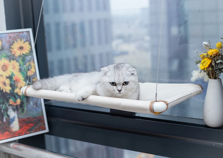 

Cat bed Hammock For Cats Lovely Breathable lounger Installed Window Beds Cat's House Suction Cup Wall Mount Kitten Supplies Rest