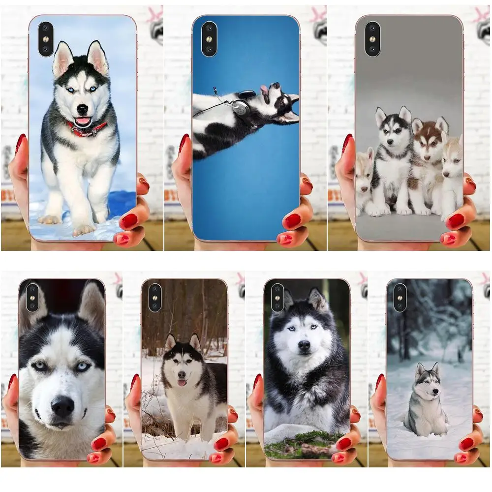 Симпатичный щенок Хаски для Huawei Honor 5C 5X 6A 6X 7 7A 7X 8 8A 8S 8X 9 10 30 Lite Pro Y6 II Y7 Y9 Prime 2019 ТПУ с
