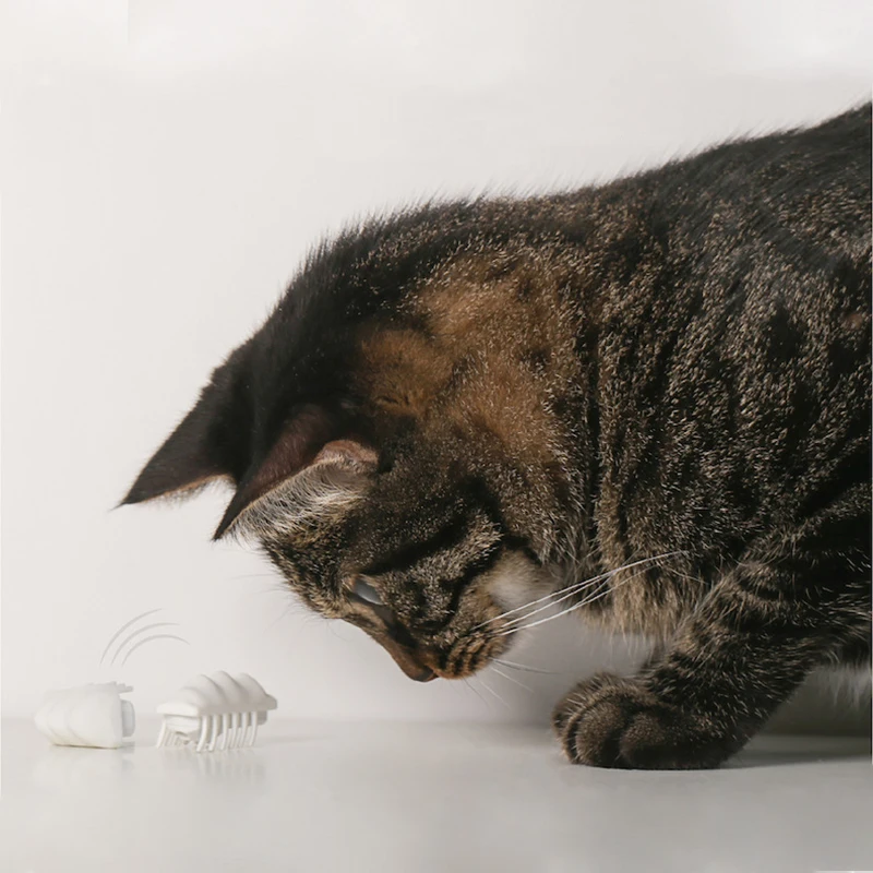 

Забавная кошка, автоматически сбегающая с препятствий, мышь, божья коровка, электрическая игрушка для домашних животных, насекомое, автомат...