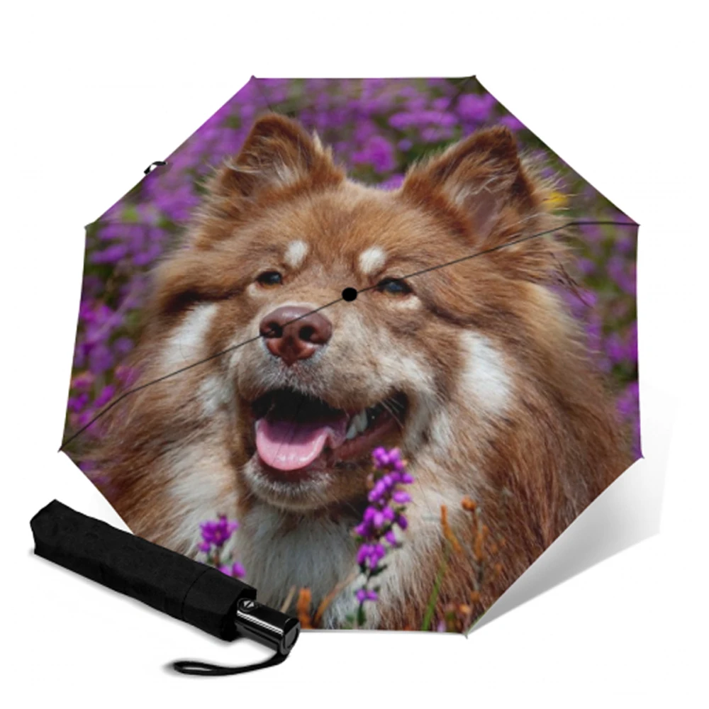 Складной зонт для щенков и собак компактный складной от солнца дождя 3