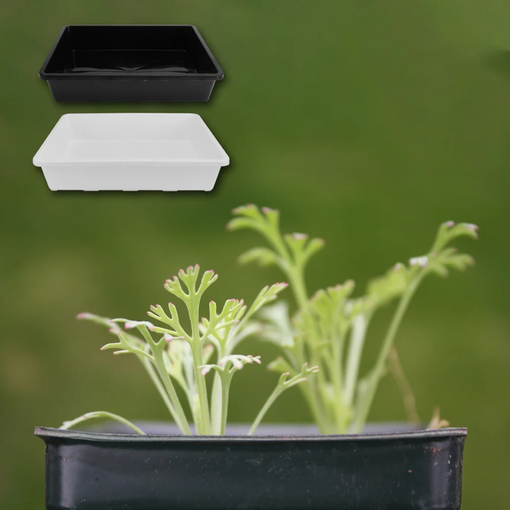 

2Pcs Home Succulent Base Container Durable Gardening Pot Tray Chic Water Tray
