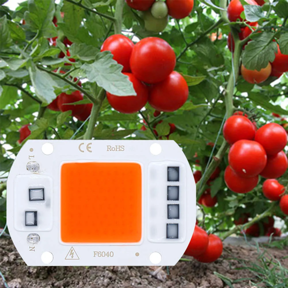 

LED COB Bulb AC110V/AC220V 5W 10W 20W 30W 50W Full Spectrum 380-840NM Grow Plant Light For Vegetable and flower fill light Lamp