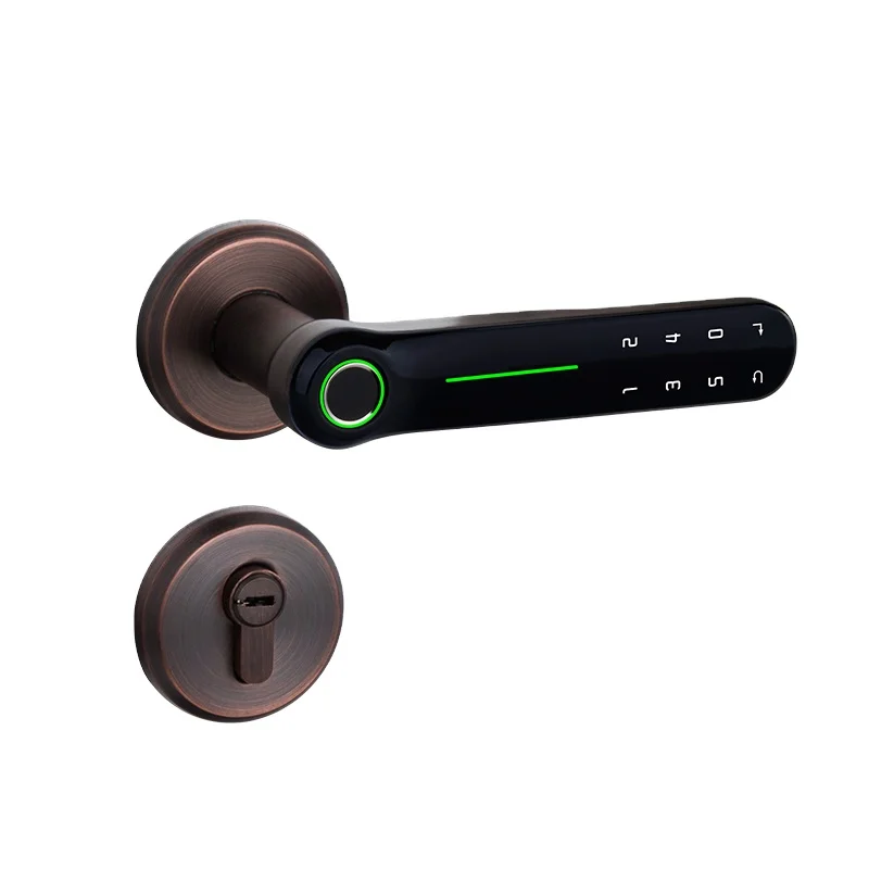 

D.Deli DF005 Fashion Luxury Zinc Alloy Split Smart Door Lock Biometric Fingerprint Door Lock for Home Apartment