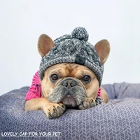 lovely dog hats pet winter warm caps windproof knitting cap french bulldog hat pet products pet cool caps