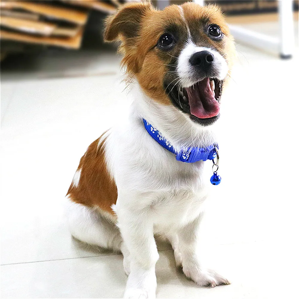 Новинка милый мультяшный питомец регулируемая фотография Милая с