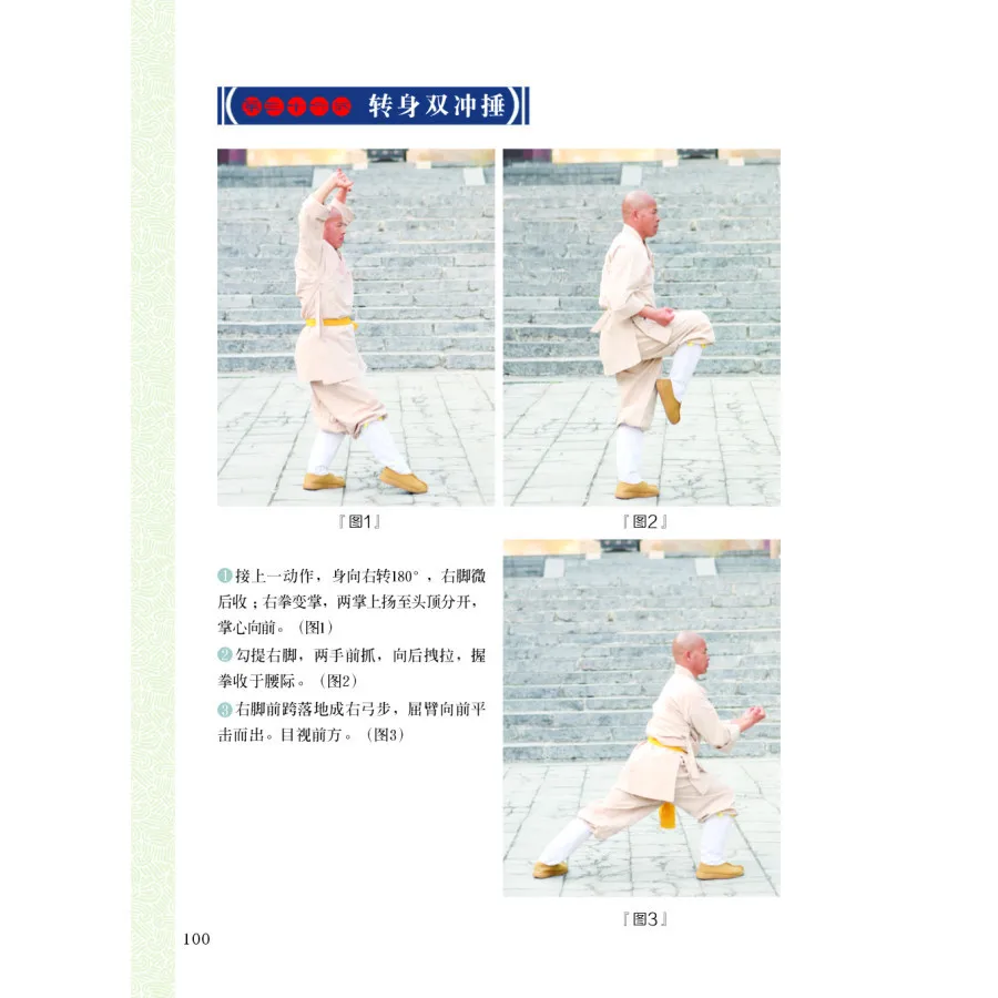 Шаолин палка Бодхидхарма шаолин кулак Ши де Ян с DVD обучение китайскому кунг-фу