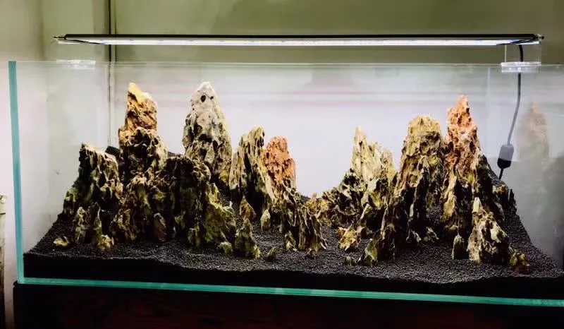 

supply shrimp rocks,150kgs/case