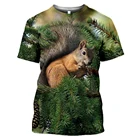 Мужская футболка CLOOCL с 3D-принтом животных белки женские футболки с коротким рукавом с Аниме футболки хип-хоп Уличная одежда унисекс Топы Прямая поставка