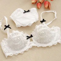 %e3%80%902 for 10 off%e3%80%91bra set women transparent bow decoration lace embroidery bras underwear women lingerie women set plus size