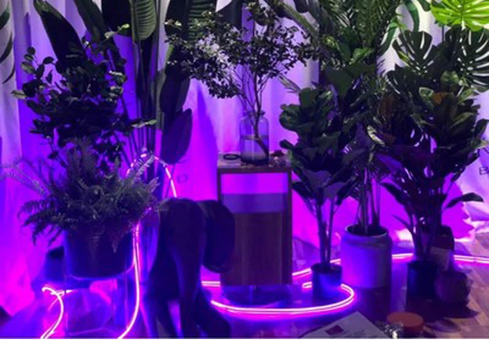 220V неоновая Светодиодная лента светильник веревка светильник лента 120led/M IP67 Водонепроницаемый гибкие Фея светильник ing наружного и внутреннего Lighting