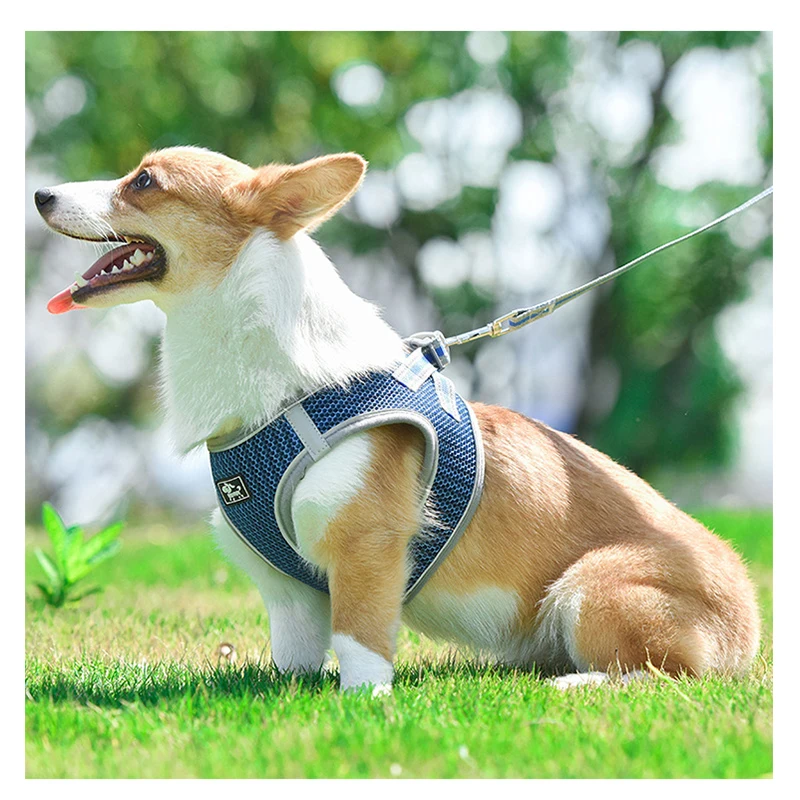 Мягкий дышащий Регулируемый жилет для собак шлейка с поводком прогулок