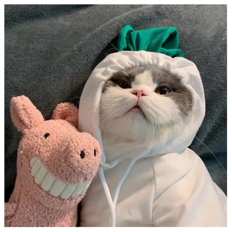 Белая толстовка с рисунком редиса одежда для домашних питомцев рождественских