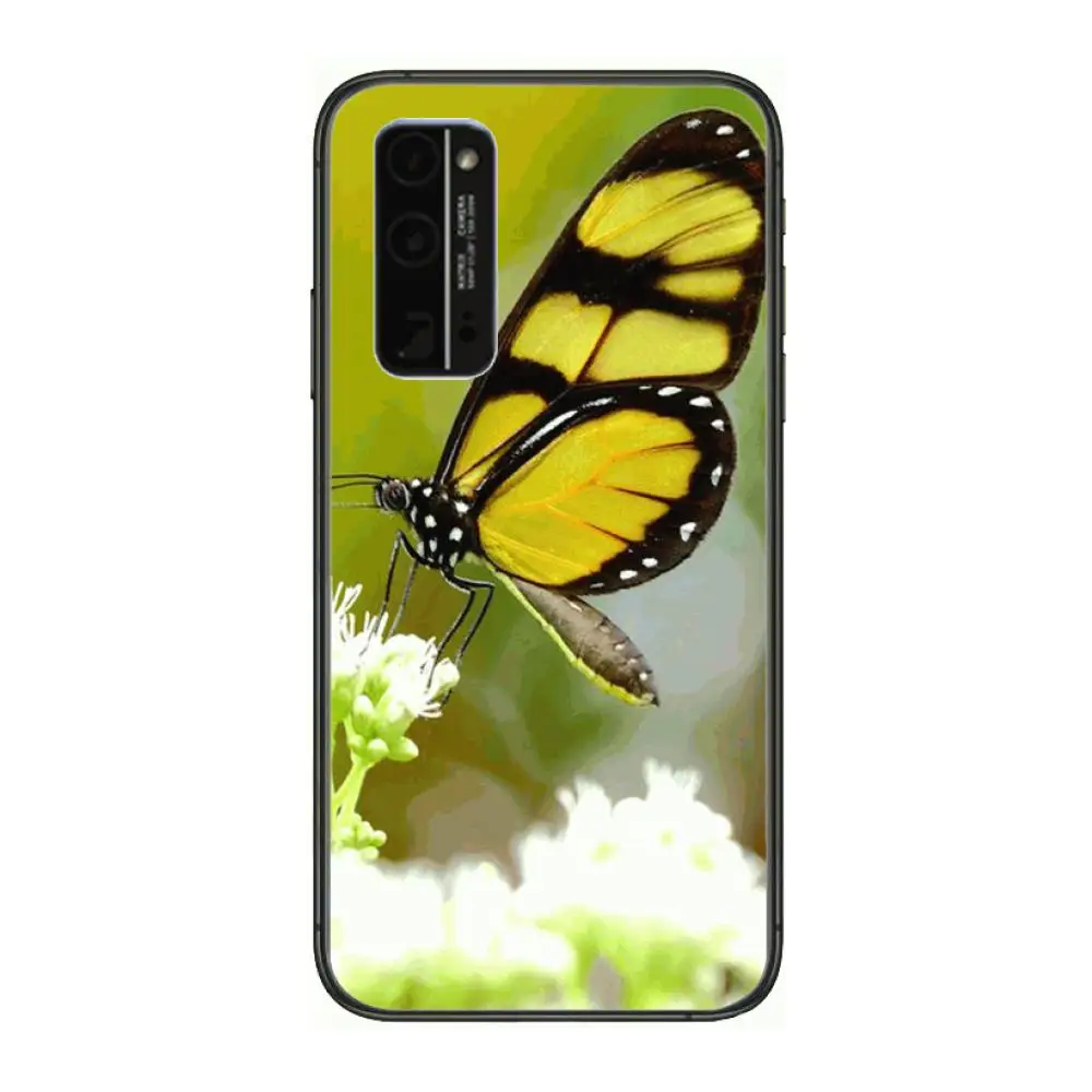 

Butterfly on flower Phone Case Hull For Huawei Honor 8 9 10 20 30 A S Lite Pro 5g i Black Back Soft Cell Cover Pretty