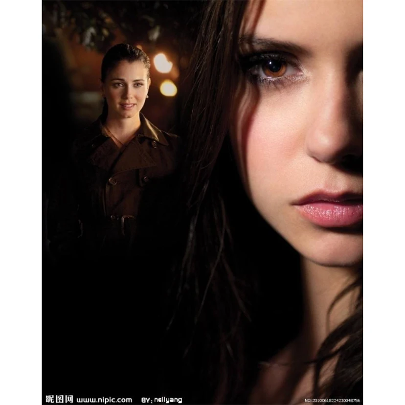 

The Vampire Diaries 5d diy diamond painting new arrival 3D rhinestones pictures mosaic embroidery Cross Stitch home decoration