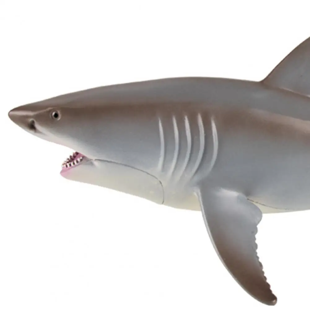 

White Shark Simulation Design Educational Model Toy Desktop Ornament Kids Educational Toys for Children Gifts